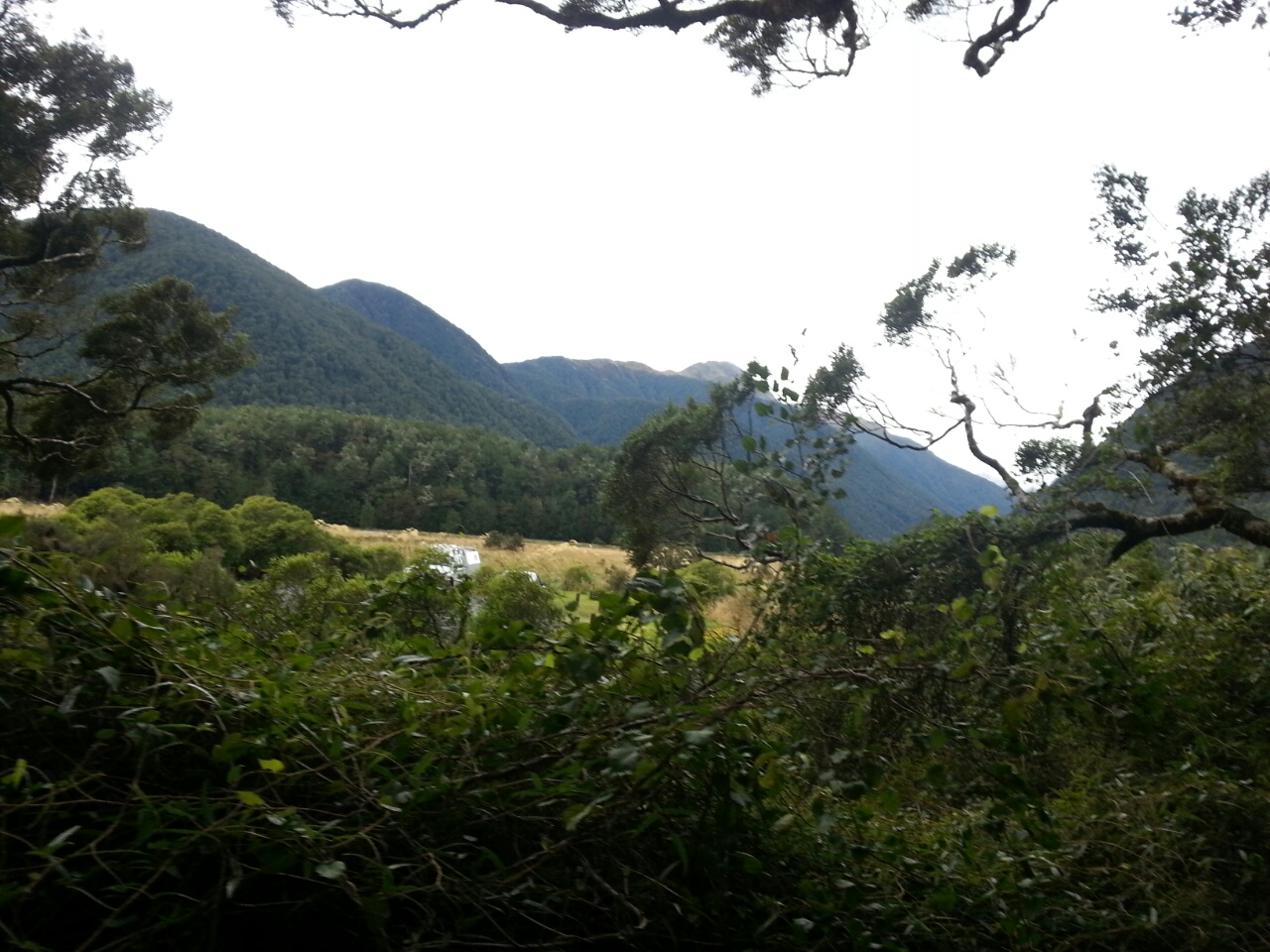 Marble Hill Camping Ground